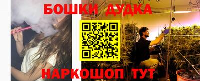 крисы Бузулук