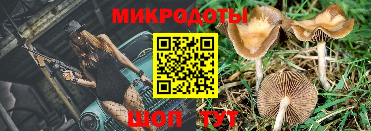Псилоцибиновые грибы прущие грибы Волгоград